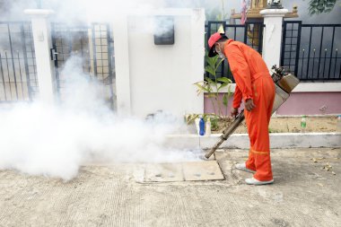 Sivrisinekler belası denetlemek için iğne ile yapılan Belediyesi.