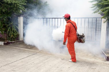 Sivrisinekler belası denetlemek için iğne ile yapılan Belediyesi.