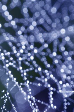 arka plan ile bokeh de-odaklanmış ışık ve gölge