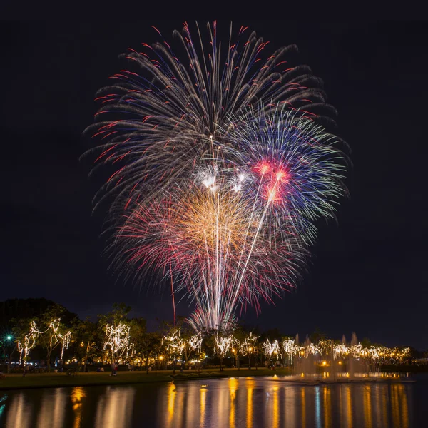 Szilveszteri ünnepi tűzijáték — Stock Fotó