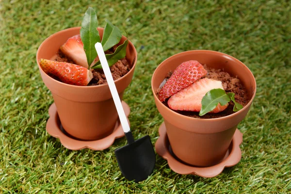 Stilize çiçek tencerede çilekli kek.