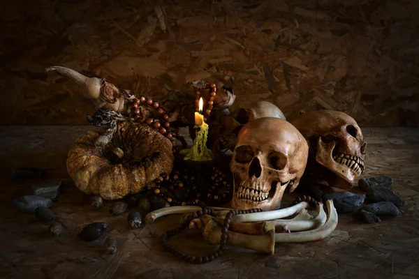 Nature morte avec crâne et mort . — Photo