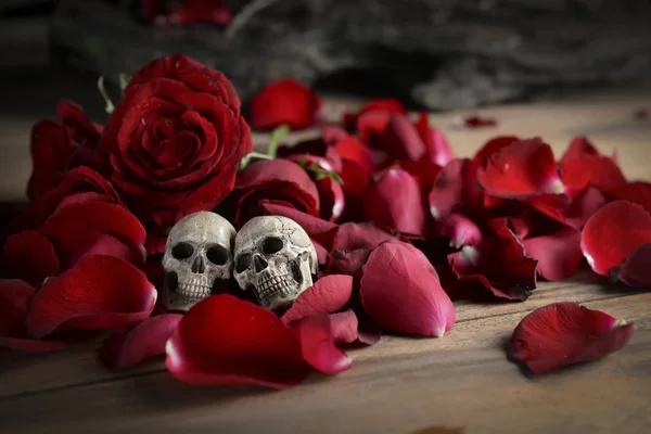 Nature morte photo avec crâne et rose au concept d'amour éternel . — Photo
