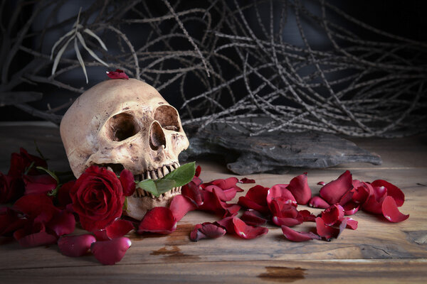 Still life photo with skull and rose to the concept of eternal love
