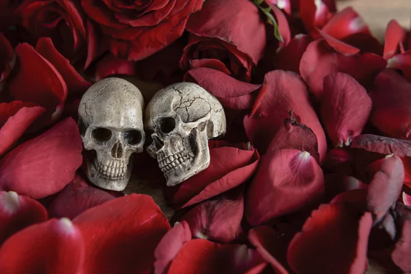 Bodegón foto con cráneo y se elevó al concepto de amor eterno — Foto de Stock