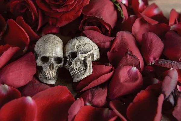 Natura morta foto con teschio e rosa al concetto di amore eterno — Foto Stock