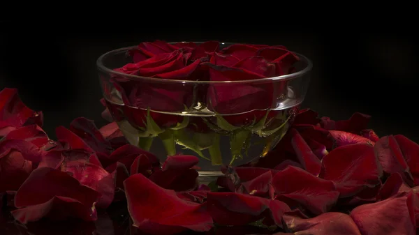 bowl with flowers on the black