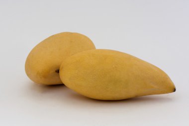 iki olgun Mango