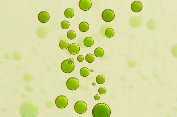Burbujas verdes del fizz — Foto de Stock