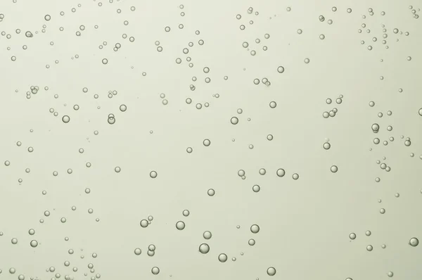 Güzel altın şampanya kabarcıklar