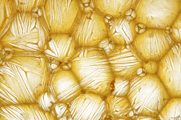 아름 다운 노란 섬유 — 스톡 사진