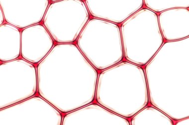 Izgara beyaz kırmızı