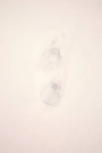 Shoe print on snow on a cloudy day in Switzerland