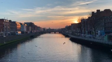 Dublin, İrlanda. Liffey Nehri. Gün batımı. Martılar..