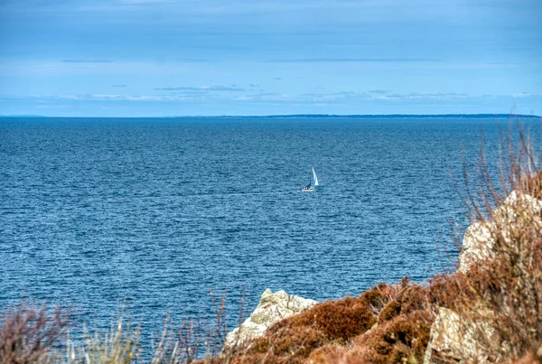 Парусная Лодка Одиночку Балтийском Море Оресундском Проливе Заповеднике Куллаберг Передает — стоковое фото