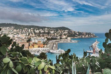 Dikenli Pears Opuntia, Kaktüs Armudu veya Port Lympia ve ikonik Mont Boron 'lu Barbar inciri. Popüler Colline du Chateau (Castle Hill) 'den geleneksel bir Akdeniz bakışı.