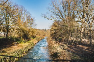 Schaferhauser See 'nin (Schaferhauser Gölü) yanındaki Neckar Nehri. Açık hava ve doğa aşığı illüstrasyonu. Sağlıklı, huzurlu, huzur ve rahatlama konsepti - Wendlingen am Neckar, Almanya