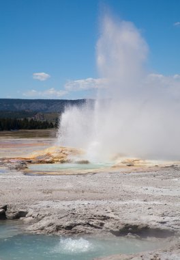 Yellowstone Ulusal Parkı, Wyoming