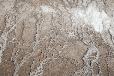 Yellowstone Ulusal Parkı, Wyoming.