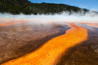 Yellowstone Milli Parkı