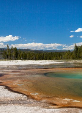 Yellowstone Milli Parkı