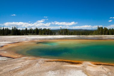 Yellowstone Milli Parkı