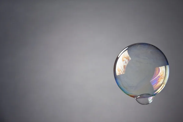 Soap bubble on gray background — Stock Photo, Image