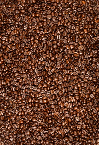 Grãos de café não moídos . — Fotografia de Stock