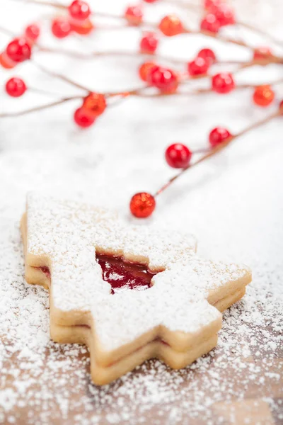 Christmas Tree Cookie — Stock Photo, Image