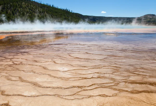 Parque Nacional de Yellowstone, Wyoming. — Foto de Stock