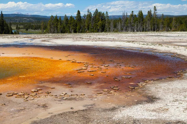 Parco nazionale di Yellowstone — Foto Stock