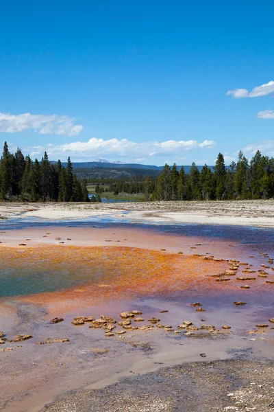 Parco nazionale di Yellowstone — Foto Stock