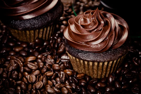 Chocolade cupcakes — Stockfoto