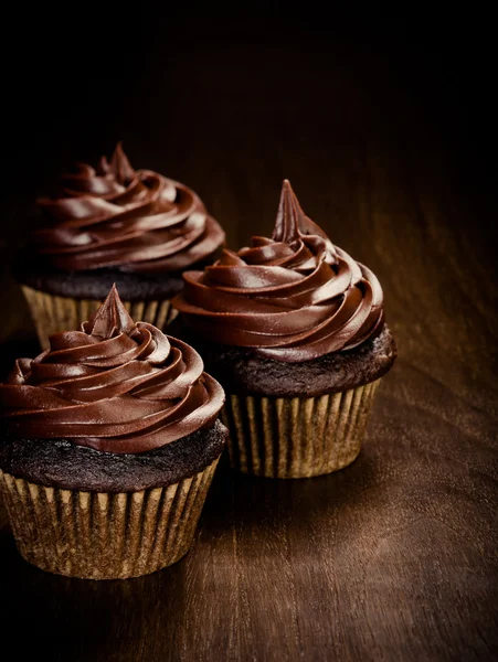 Cupcakes de chocolate — Fotografia de Stock