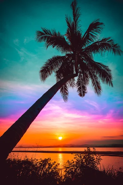 Palmeiras de coco silhueta na praia ao pôr do sol. Tom vintage. — Fotografia de Stock