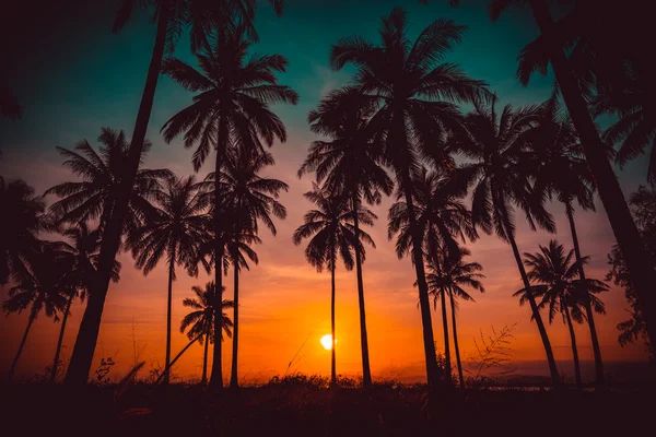 Palmeiras de coco silhueta na praia ao pôr do sol. Tom vintage. — Fotografia de Stock