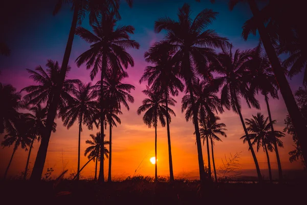 Silhouette Kokospalmen am Strand bei Sonnenuntergang. Vintage-Ton. — Stockfoto