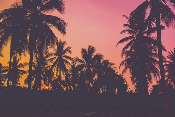 Palmeiras de coco silhueta na praia ao pôr do sol. Tom vintage. — Fotografia de Stock