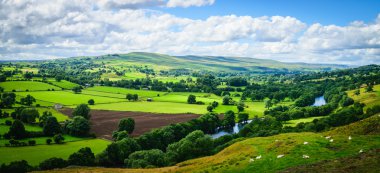 Panorama Meandering River making its way through lush green rural farmland in the warm early sunlight. clipart