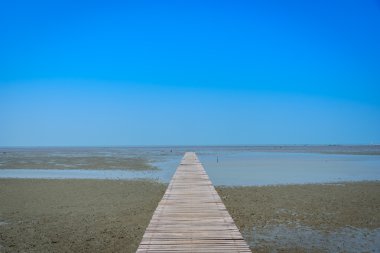 Mangrove ormanındaki ahşap köprü mavi gökyüzü arka planına sahip..