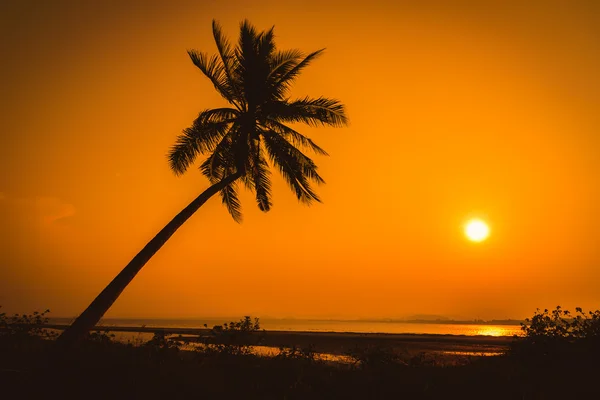Palmeiras de coco silhueta na praia ao pôr do sol. — Fotografia de Stock