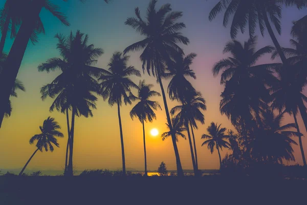 Palmeiras de coco silhueta na praia ao pôr do sol. Tom vintage. — Fotografia de Stock