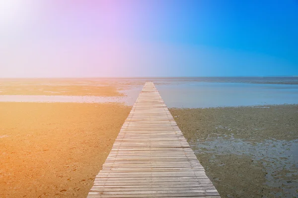 Ponte de madeira na floresta de mangue com fundo azul céu. — Fotografia de Stock