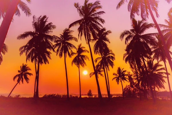 Sziluett kókuszpálmafák a parton naplementekor. Szüreti hang. — Stock Fotó