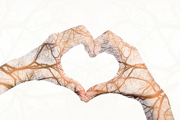 Fille mains en forme de coeur d'amour isolé sur fond blanc . — Photo
