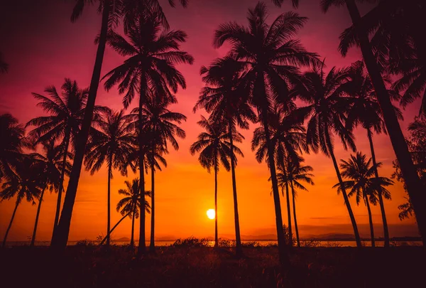Silhouette φοίνικες καρύδας στην παραλία κατά το ηλιοβασίλεμα. Vintage τόνος. — Φωτογραφία Αρχείου