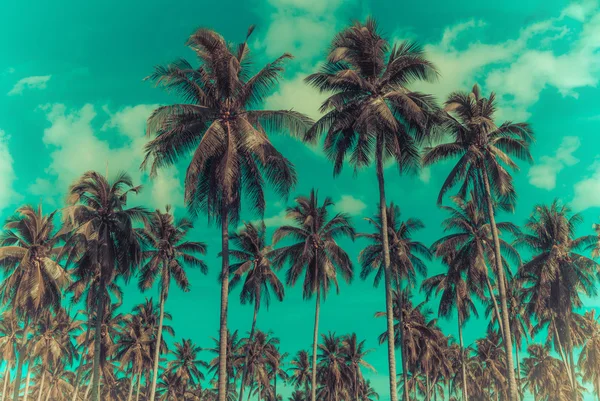 Kokosové palmy na pláže a modré oblohy mrak zázemí. — Stock fotografie