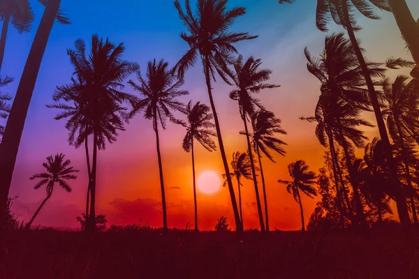 Silhouet kokosnoot palmbomen op het strand bij zonsondergang. Vintage toon. — Stockfoto