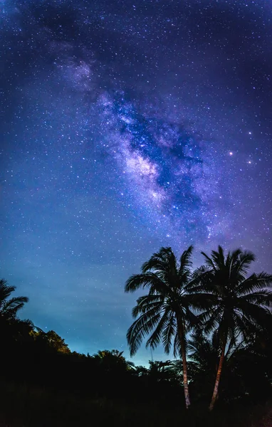 Detail of Milky Way Galaxy, Long exposure photo . Лицензионные Стоковые Фото