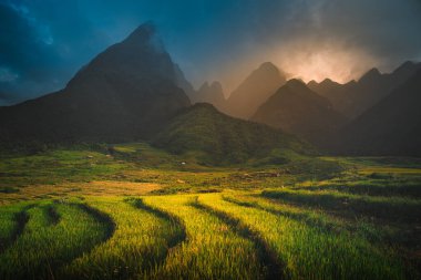 Pirinç tarlaları üzerinde Mount Fansipan arka plan ile Lao Cai, Kuzey Vietnam batımında Teras. Fansipan bir Vietnam, Indochina en yüksek dağıdır.